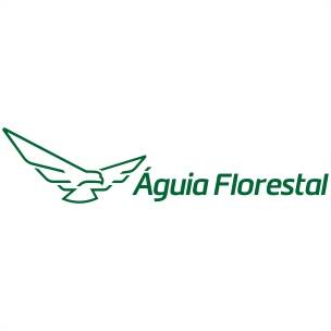 Águia Florestal